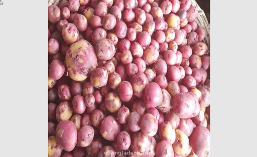 Potato (Deshi Alu) 1 Kg