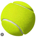 Tennis Ball 1 Psc